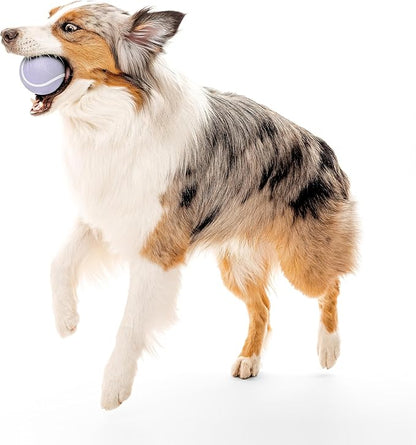 Playology Dog Toys | Squeaky Chew Ball - Bouncy Durable Floating Fetch Ball for Dogs | Jumbo Lamb Scented Toy - Easy to Clean and Made from Non Toxic Materials