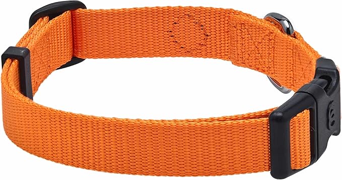 Blueberry Pet Essentials Matching Dog Collar and Leash Set in Orange Vermilion, Adjustable Classic Solid Color Nylon Collar with 4 ft Leash for Large Dogs
