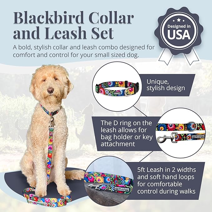 Lucky Love Dog - Easy Click Buckle Dog Collar with Leash Set Combo, Durable & Comfortable for Male & Female Dogs, Pet Collar for Small to Large Dogs, Secure Fit - Blackbird Combo, Small