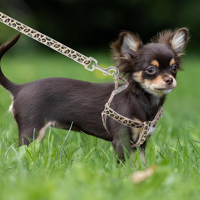 Mile High Life Leopard Dog Harness Collar Leash Set, Adjustable No Pull Dog Halter Harness for Small Breed Dogs, Easy Control for Training Walking (Beige, S Chest 11"-18", Neck 10"-14")