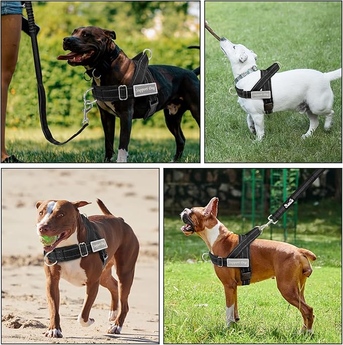 Lukovee No Pull Dog Harness & Leash Set - Heavy Duty Dog Vest Harness with Soft Padded for Medium Large Dogs, Adjustable Reflective Tactical Pet Harness for Easy Walk and Training (M, Black)