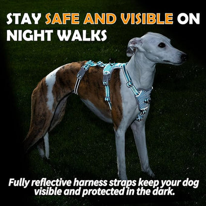 Huntboo Escape Proof Dog Harness – No Pull, No Slip, Fully Reflective, Adjustable 7-Point Design for Small, Medium, and Large Dogs – Lightweight for Outdoor Training & Hiking (Teal, L)