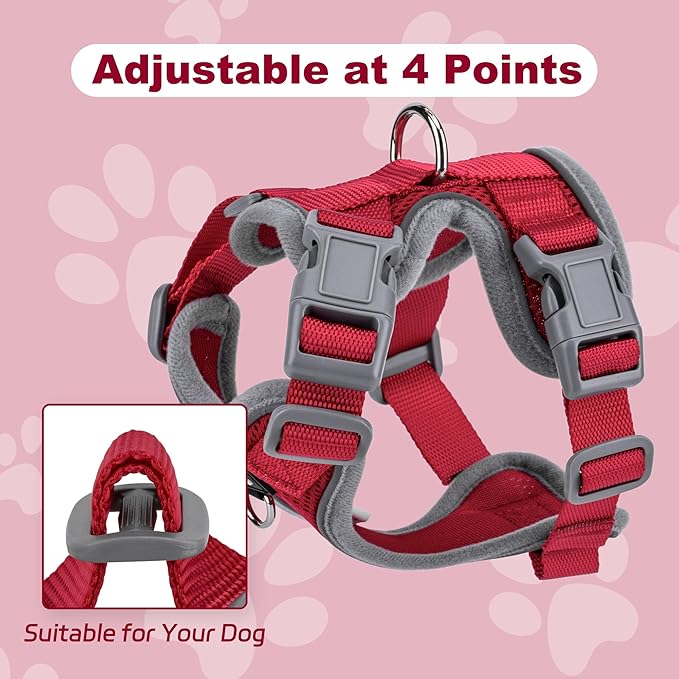 Small Dog Harness and Leash Set，No Pull Adjustable Pet Harness for Small Dogs ，Breathable Mesh Reflective Dog Vest Harness (Red, XXS)