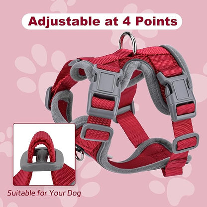 Small Dog Harness and Leash Set，No Pull Adjustable Pet Harness for Small Dogs ，Breathable Mesh Reflective Dog Vest Harness (Red, XXS)