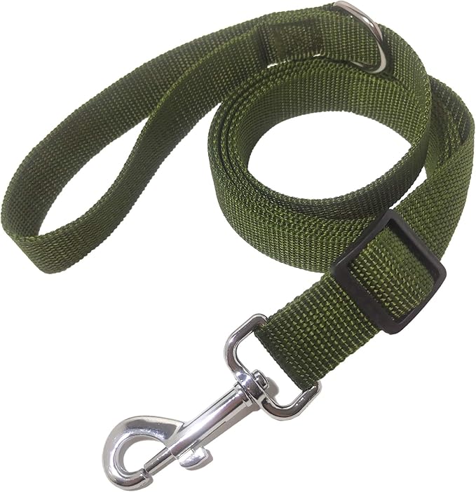 6FT Adjustable Dog Leash, Nylon Dog Leashes for Medium Large Dogs (Green)