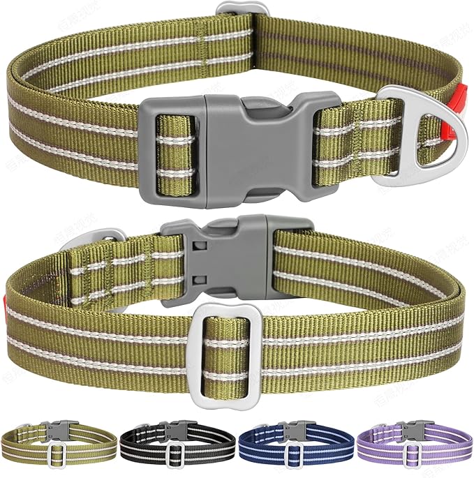 Tacwild Adjustable Reflective Dog Collar, Puppy Collar with D-Ring Buckle - Durable Safety Nylon Dog Collars for Large Dogs (Green-L)