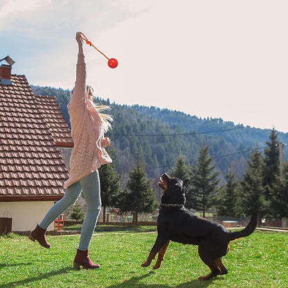 2 Pack Dog Ball, K9 Ball on Rope for Reward, Fetch, Play (Blue and Red)