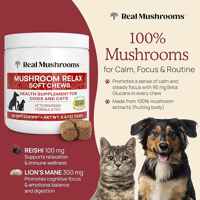 Calming Chews for Dogs & Cats – Soft Chews with Reishi & Lion’s Mane for Daily Composure – for All Breeds & Sizes – Calming Treats for Dogs: 1 Chew/20 lb Daily; Cats: ¼ Chew Twice Daily – 60 Count