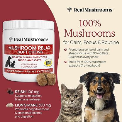 Calming Chews for Dogs & Cats – Soft Chews with Reishi & Lion’s Mane for Daily Composure – for All Breeds & Sizes – Calming Treats for Dogs: 1 Chew/20 lb Daily; Cats: ¼ Chew Twice Daily – 60 Count