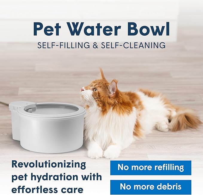 Always Full® 9” Dog Water Bowl and Bottle Pump Bundle, Self Refilling with Clean Filtered Water, App-Enabled Smart Hydration Monitoring, Upgradeable System for Dogs and Cats