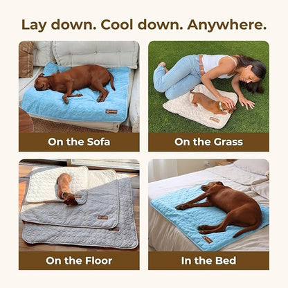 Pelsbarn Dog Cooling Mat- Ice Silk Summer Comfort, Self Cooling, Non-Slip Dog Pad, Durable & Washable, Mat for Medium Dogs 19"" x 25"", Support Shelter Dogs with Every Purchase (Blue)