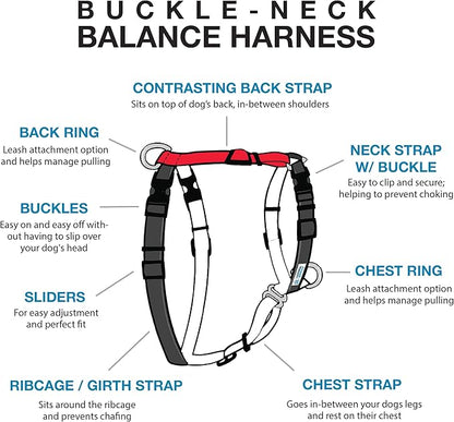 Blue-9 Buckle-Neck Balance Harness, Fully Customizable Fit No-Pull Harness, Ideal for Dog Training and Obedience, Made in The USA, Red, Medium