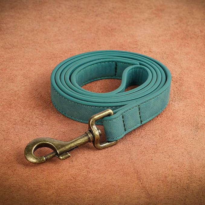 Didog PU Leather Dog Leash, Colorful Dog Leash 4ft, Strong and Durable Faux Leather Lead, Walking and Training Lead for Small Medium Dogs,Green