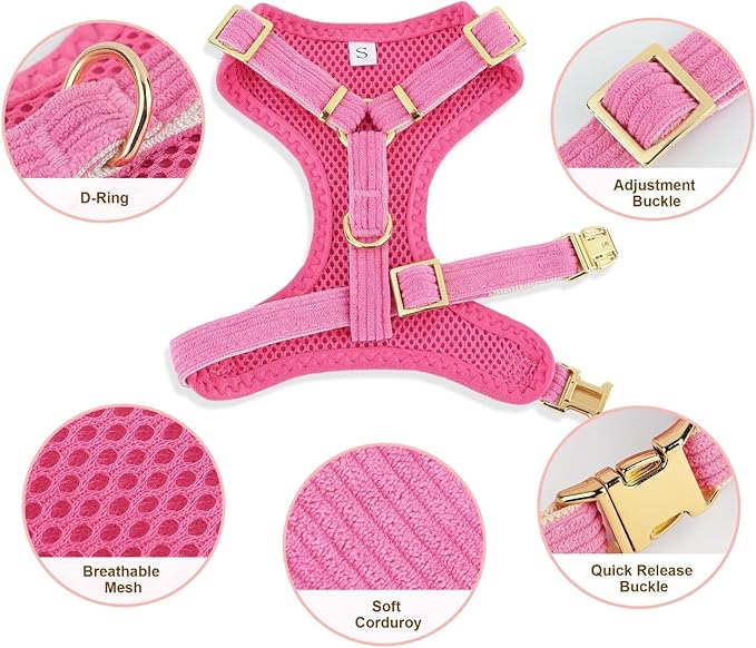 Didog Cute Small Dog Harness Collar and Leash Set with Bowtie, Breathable Soft Mesh Padded Puppy Harness, Dog Harness for Small Dogs Daily Walks Parties, Holiday Gatherings & Gifts, Hot Pink, S