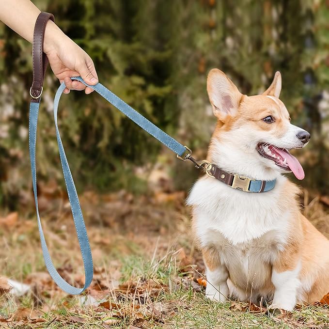 Didog PU Leather Dog Leash for Small Dogs 4.5ft, Soft Padded Handle Faux Leather Dog Leashes for Medium Dogs, Walking and Training Leashes for Large Dogs,Denim Blue