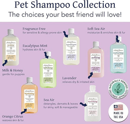 Bobbi Panter Soothing Dog Shampoo, Heals & Soothes Irritated Skin, Lavender Scent - 30:1 Concentrated Formula, Made in The USA, Trusted by Professional Groomers, 14 oz.