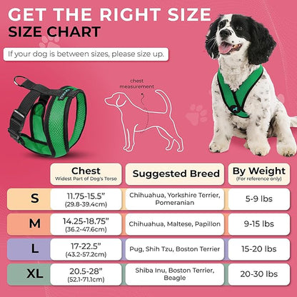 Gooby Comfort X Head In Harness - Hunter Green, X-Large - No Pull Small Dog Harness Patented Choke-Free X Frame - On the Go Dog Harness for Medium Dogs No Pull or Small Dogs for Indoor and Outdoor Use