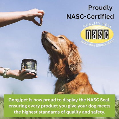 Googipet Premium Hip and Joint Supplement for Dogs - Glucosamine Soft Chews w/Green Lipped Mussels for Dogs, Dog Joint Supplement Turmeric for Mobility, Ages, & Breeds