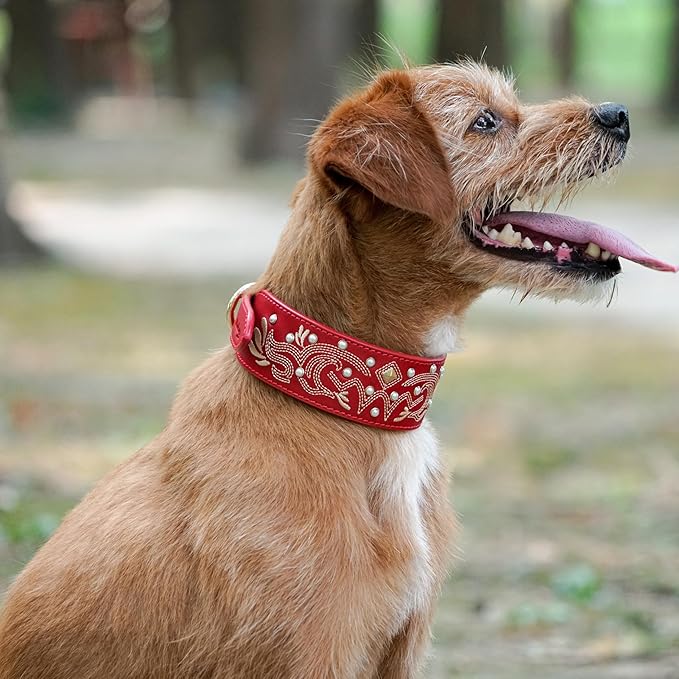 Blueberry Pet Western Leather Dog Collar - Genuine Leather with Floral Embroidery & Pearl Studs Adjustable 15-18 Inch Neck for Medium Dogs, Comfortable and Stylish Pet Collar