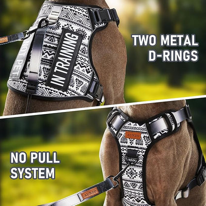 Tactical Dog Harness for Medium Large Dogs, No Pull Pet Harness with 2 Leash Clips, Adjustable Soft Padded Dog Vest, Reflective Pet Oxford Vest with Easy Control Handle, Black Ethnic M