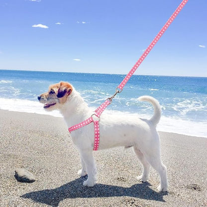 BINGPET Dog Harness Collar Leash Set,Adjustable No Pull Escape Proof Small Dog Harness,Classic Plaid Puppy Harness and Leash Set for Small Medium Large Dogs Training Easy Walk Running(Polka Dots,M)