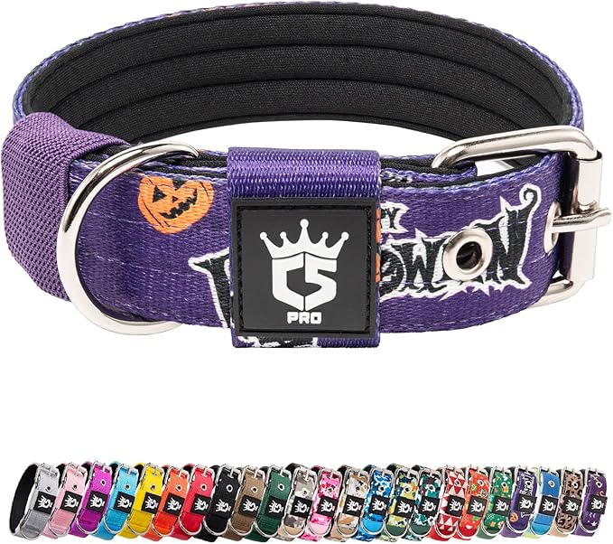 TSPRO Tactical Dog Collar 1.25 Inch Wide Thick Dog Collars with Heavy Duty Metal Buckle, Durable, Strong, Adjustable for Small Dogs (Halloween Purple S)