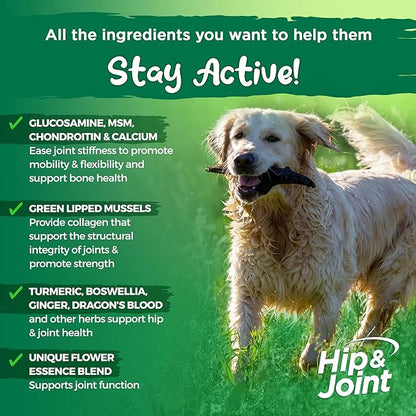 Vital Planet - Natural Hip and Joint Supplement for Dogs - Potent Herbal Blend with Green Lipped Mussel, MSM and Glucosamine (120 Chewable Tabs)