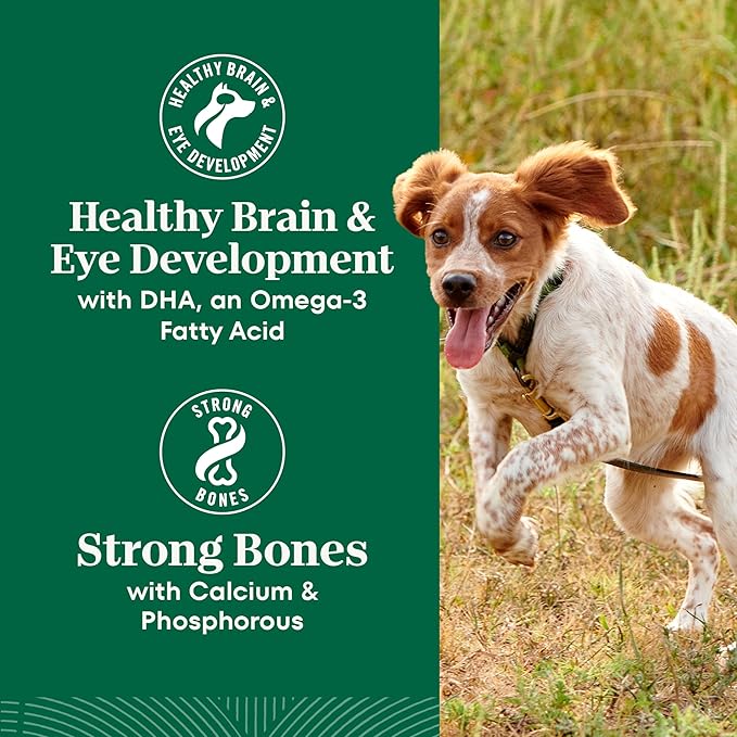 Nutro Natural Choice Large Breed Puppy Food Dry, Chicken & Brown Rice Recipe, 13 lb. Bag