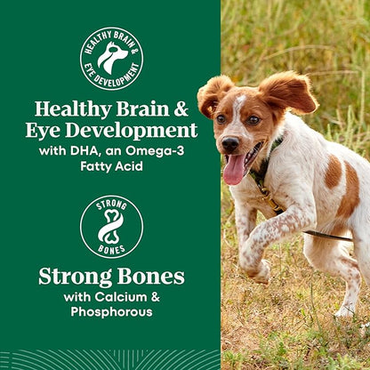 Nutro Natural Choice Large Breed Puppy Food Dry, Chicken & Brown Rice Recipe, 13 lb. Bag
