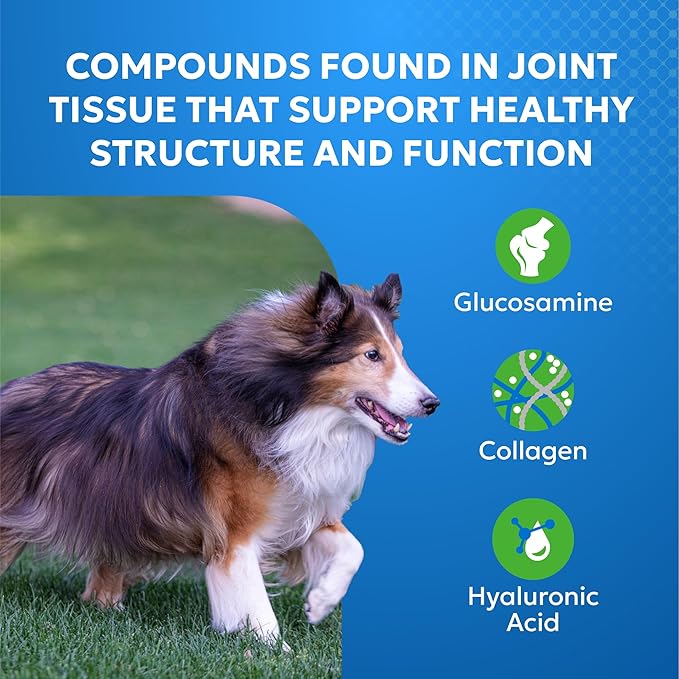 Nutramax Cosequin Elements Dog Joint Health Supplement with Glucosamine, Green Lipped Mussel, Omega-3s, Eggshell Membrane, Hyaluronic Acid, & Postbiotics, 75 Tasty Chewable Tablets for Dogs