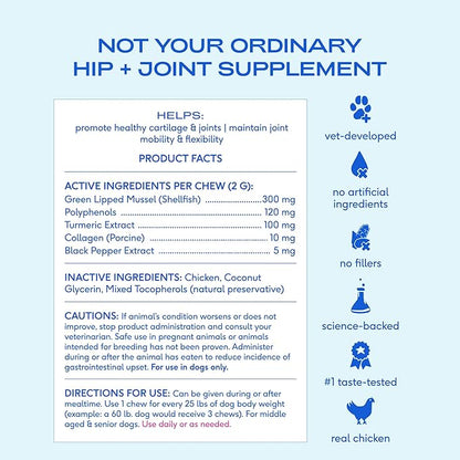 Native Pet Pain Relief for Dogs - Collagen for Dogs Promotes Joint Health, Reduce Inflammation & Stiffness - Senior Pup Joint Supplement - Natural Pain Reliever for Active & Aging Pets - 120 Chews