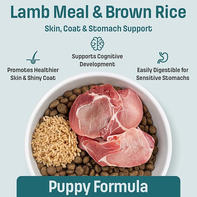 Nutram I14 Puppy Dog Food with Lamb & Brown Rice - Skin, Coat & Sensitive Stomach Dog Food with Pumpkin, Omega-3 Rich Salmon Oil & Flaxseed for Shiny Coat & Immunity - Chicken Free Puppy Food (4.4 lb)