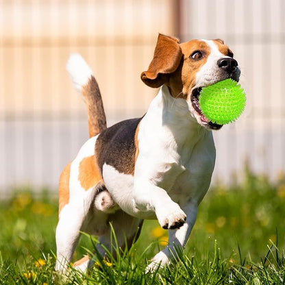 Ousiya 3.5” Squeaky Dog Toy Balls (6 Colors) Dog Toys Spikey Dogs Ball for Aggressive Chewers Heavy Duty Teething Large Medium Durable Dogs Balls