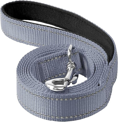 6FT Reflective Nylon Dog Leash with Soft Padded Handle for Walking, Running and Training, Supports Small Medium and Large Dogs (Grey, 1 Inch Wide)