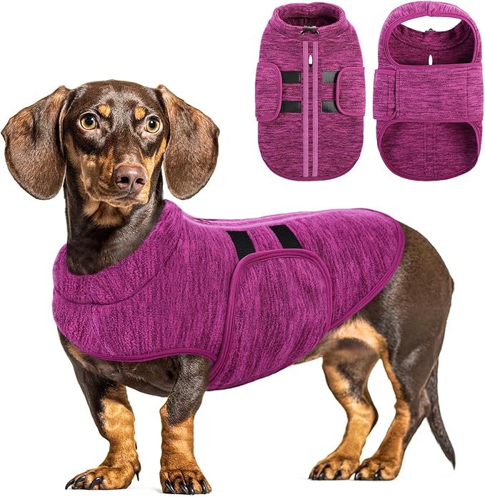 Queenmore XXS Dog Sweaters, Soft Fleece Vest Pullover Dog Jacket with Leash Hole, Warm Winter Dogs Clothes Cold Weather Doggy Dachshund Sweater for Small Dogs Cats Boy or Girl (Cationic Berry, XXS)