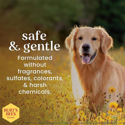Burt's Bees for Pets Oatmeal Dog Conditioner with Colloidal Oat Flour & Honey - Soothing Relief Conditioner for Dogs, Gentle Dog Hair Conditioner for Oatmeal Bath, Grooming Supplies, 10 Fl Oz