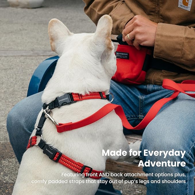 Wildebeest Valencia No Pull Dog Harness | Front and Back Leash Clips | Soft Padded Straps | Lightweight, Adjustable, Easy On/Off for Training and Dog Walking | Large Red