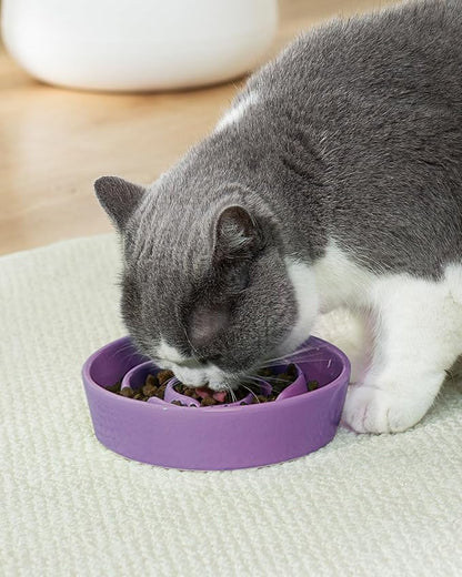 TRUVIC Ceramic Slow Feeder Dog Bowls Small Breed, 0.6 Cup Slow Feeder Cat Bowls for Fast Eaters, Ceramic Dog Food Dish no Black Chin, Puzzle Bowl for Small Dogs and Cats, Purple