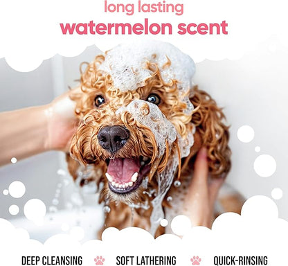 Watermelon Dog Shampoo by Buddycare | Dry Skin & Itchy Skin Relief for Smelly Dogs | Deep Cleansing Shampoo for Dogs Puppy Sensitive Skin | Dog Shampoo & Conditioner | with Aloe & Vitamin B5 (16.90oz)