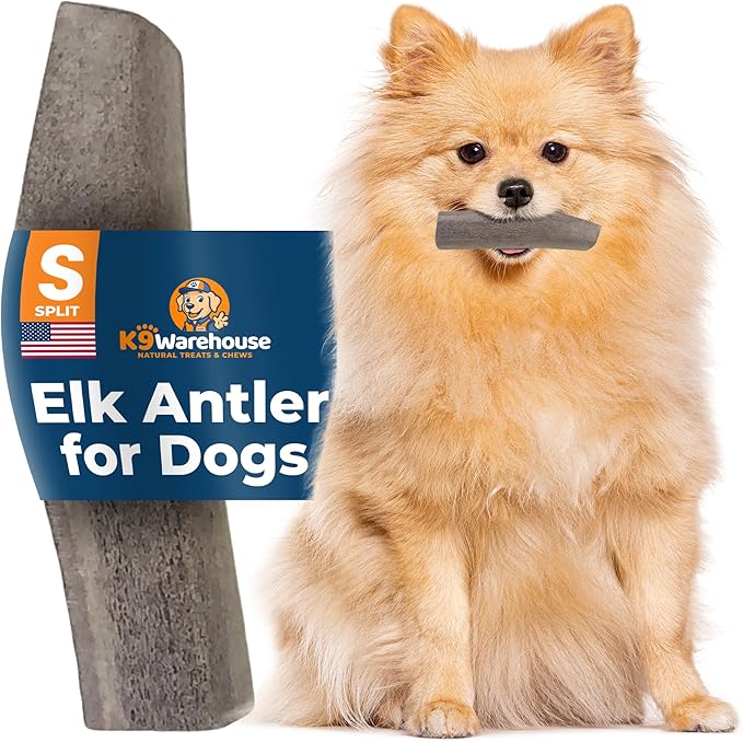 K9warehouse Natural Split Elk Antlers for Dogs - Premium Grade Dog Antler Chews - Long-Lasting Deer Antles Ideal for Aggressive Chewers - Safe USA Sourced Chew for Medium and Large Dogs - 1 Pack