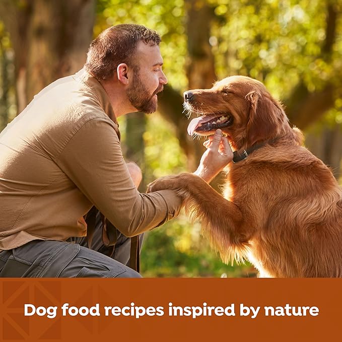 Nature’s Recipe Grain Free Wet Dog Food Paté Variety Pack Chicken and Beef Recipes with Sweet Potato & Pumpkin, 13oz. Cans (Pack of 12 Cans)