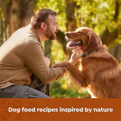 Nature’s Recipe Grain Free Wet Dog Food Paté Variety Pack Chicken and Beef Recipes with Sweet Potato & Pumpkin, 13oz. Cans (Pack of 12 Cans)