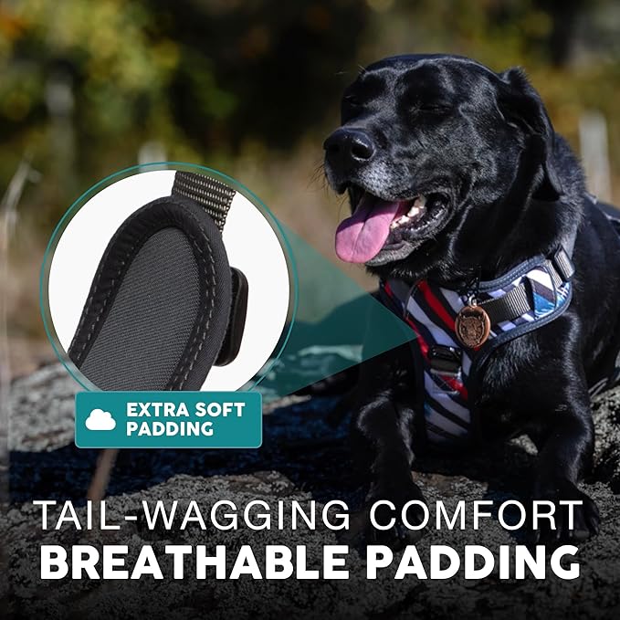 Embark Adventure Dog Harness, Reflective Trim XL Dog Harness for Extra Large Dogs No Pull - Military Grade Nylon, 2 Leash Clips & Gel Lined Handle.