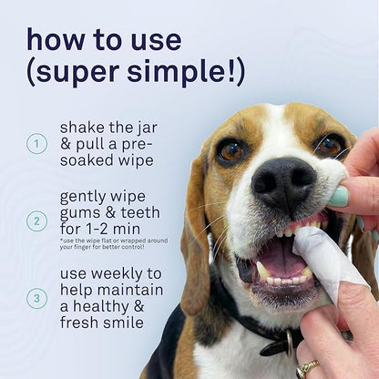 Petpost Dental Wipes for Dogs | 100 Count Presoaked Pads in Natural Tooth Cleaning Solution | Bad Breath and Tooth Buildup Remover