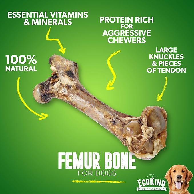 EcoKind Premium Giant Mastedon Femur for Dogs | 1 Giant Bone | All Natural for Large Dogs and Aggressive Chewers