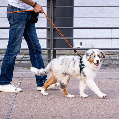 Panykoo 5/6 FT Strong Pet Dog Leash with Soft Padded Handle,Highly Reflective Rope for Night Walking,360-Degree Rotating Metal Buckle Without Tangles,Suitable for Small,Medium and Large Dogs.(5ft)