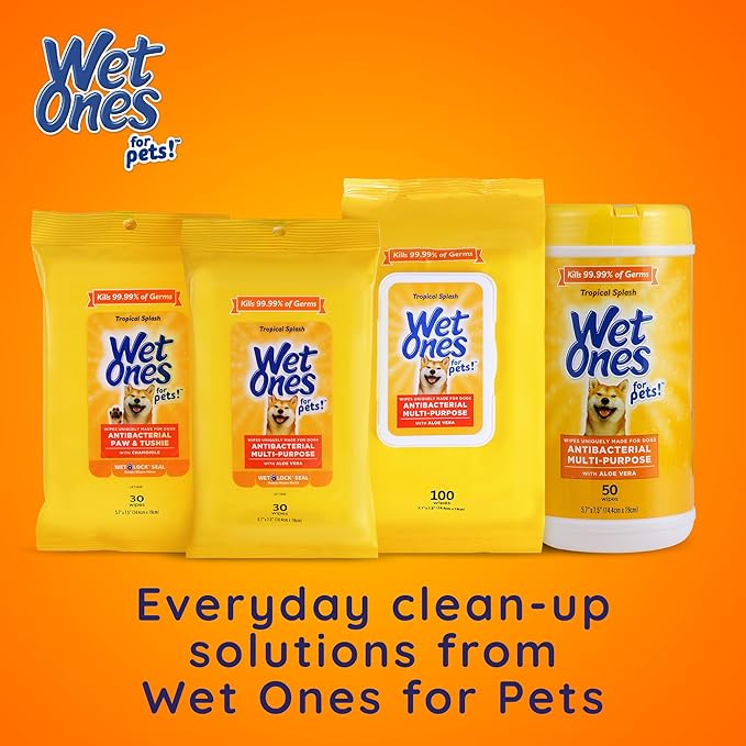 Wet Ones for Pets Multipurpose Dog Wipes with Aloe Vera, Tropical Splash Scent - Extra Large Pet Bathing Wipes with Wet Lock Seal for Dog Paws & All Over Use, 10 Count