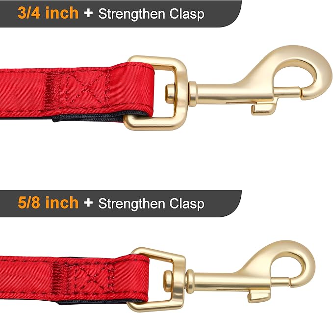 Didog 5FT Colorful Nylon Dog Leash with Soft Full-Length Padding, Lightweight and Durable Pet Leash for Medium and Large Dogs, Red, M