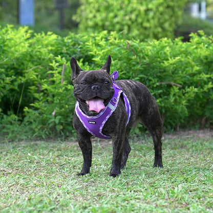 AMTOR Small Dog Harness with Leash Set, No Escape Easy Walk Puppy Harnesses for Training Walking, Step-in Reflective Soft Dogs Vest for XS S Medium Extra-Small Large Sized Dog(Purple,XL)