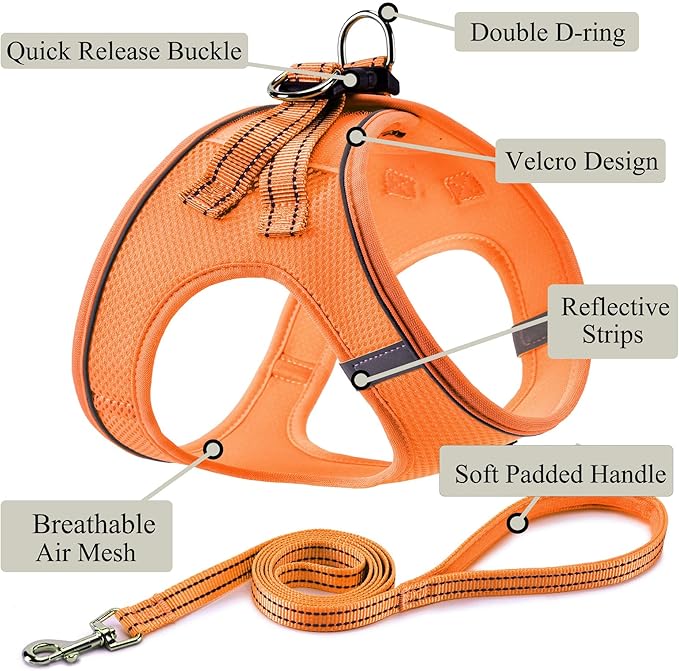 Dog Harness with Leash Set, No Pull Adjustable Reflective Step-in Puppy Pet Vest Harnesses for Small Medium Large Dogs and Cats,Orange XXS